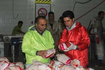 بازدید مشترک  مسئولین استان از کشتارگاه طیور ملایر