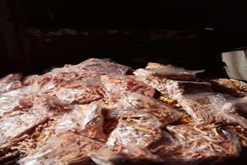 ضبط و معدوم سازی پای مرغ