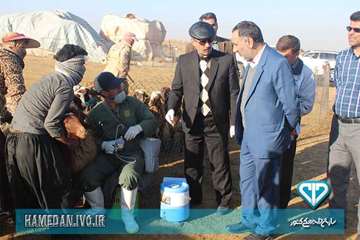 بازدید مدیرکل دامپزشکی و ئیس سازمان برنامه و بودجه استان همدان از فعالیت های اکیپ های واکسیناسیون دا