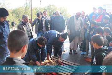 طرح نظازت شرعی و بهداشتی به دامهای قربانی در تاسوعا و عاشورای حسینی