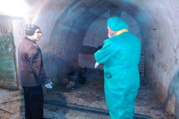 بررسی تلفات مرغ بومی در شهرستان بهار توسط اداره دامپزشکی