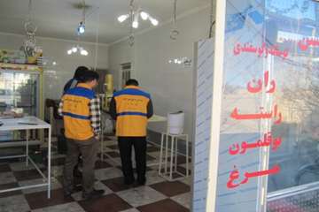 بازدید از مراکز عرضه مواد خام دامی شهرستان رزن