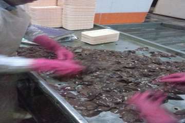 ضبط و معدوم سازی جگر مرغ غیر قابل مصرف توسط بازرسان دامپزشکی