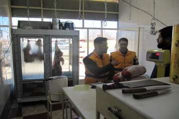 بازدید از مراکز عرضه مواد خام دامی شهرستان رزن