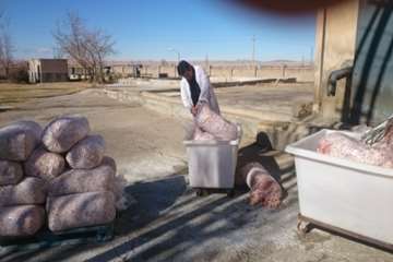 معدوم سازی پای مرغ غیر قابل مصرف توسط بازرسان دامپزشکی شهرستان بهار