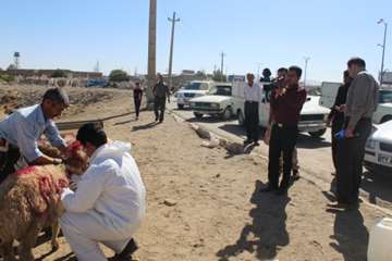 عید قربان 93