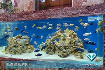 بازدید از مرکز پرورش ماهی زینتی