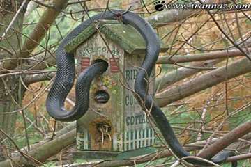 تصاویر جالب 8