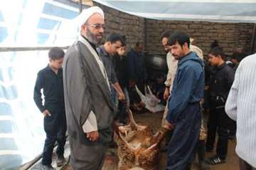 مراسم نظارت بهداشتی و شرعی بر دام های قربانی در تاسوعا و عاشورای حسینی