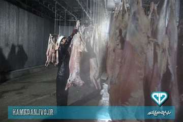 مراسم افتتاح پیش سرد کشتارگاه دام صالح آباد همدان