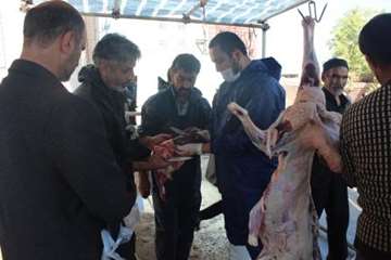 مراسم نظارت بهداشتی و شرعی بر دام های قربانی در تاسوعا و عاشورای حسینی