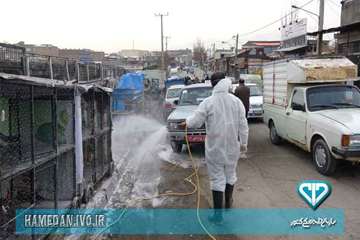 سم پاشی و ضد عفونی بازار پرندگان شهرستان همدان و توزیع بروشور های بیماری آنفلوانزا
