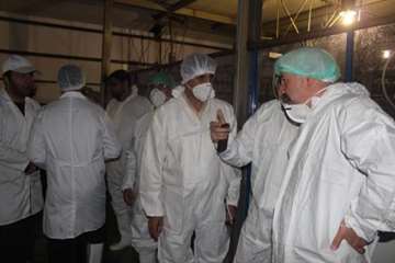 بازدید کارشناسان سازمان دامپزشکی کشور از کشتارگاه طیور در استان همدان