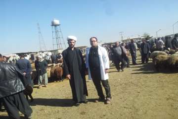 عکس تاسوعا و عاشوراسال95