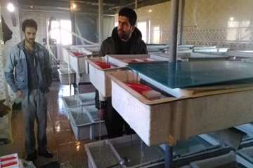 بازدید از مزرعه پرورش تخم چشم زده ماهی