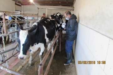 بازدید نماینده صداوسیما از عملکرد واکسیناسیون