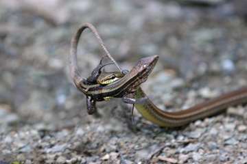 تصاویر جالب 6