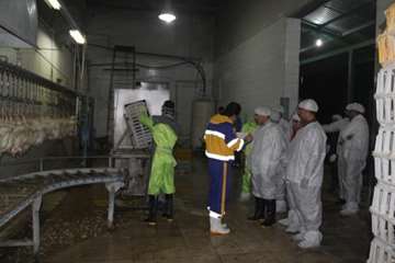 بازدید مشترک  مسئولین استان از کشتارگاه طیور ملایر