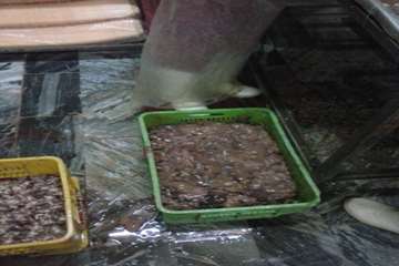 ضبط و معدوم سازی جگر مرغ غیر قابل مصرف توسط بازرسان دامپزشکی