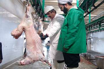 كشتارگاه دام