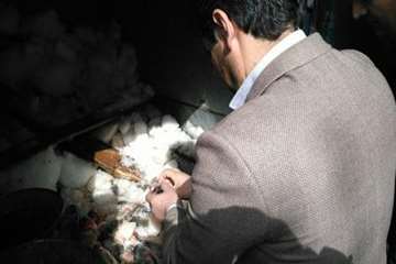 تصاویر کشف،ضبط و معدوم سازی ماهی غیرقابل مصرف توسط اداره دامپزشکی