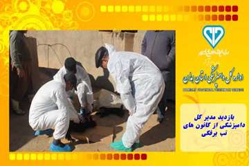 بازدید مدیر کل دامپزشکی از کانون های تب برفکی