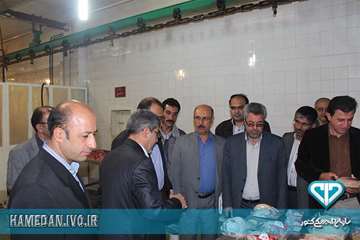 بازدید معاون عمرانی استانداری همدان از کشتارگاه دام