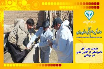 بازدید مدیر کل دامپزشکی از کانون های تب برفکی