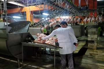 بازدید شبانه از کشتارگاه طیور