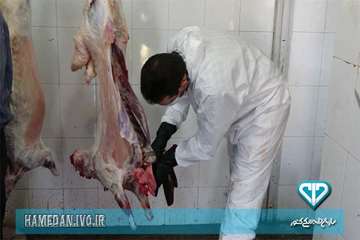 بازرسی اکیپ های شرعی و بهداشتی از دام های قربانی در روز عید سعید قربان