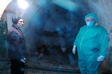 بررسی تلفات مرغ بومی در شهرستان بهار توسط اداره دامپزشکی