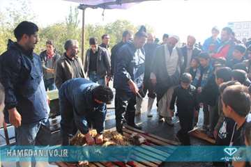 طرح نظازت شرعی و بهداشتی به دامهای قربانی در تاسوعا و عاشورای حسینی