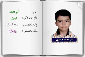 دانش آموزان ممتاز درسی در سال تحصیلی 95-94