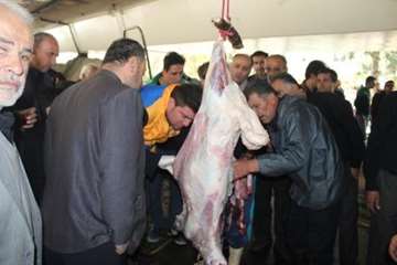 مراسم نظارت بهداشتی و شرعی بر دام های قربانی در تاسوعا و عاشورای حسینی