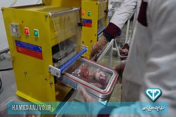 بسته بندی و لیبل گذاری آلایش دامی در استان همدان