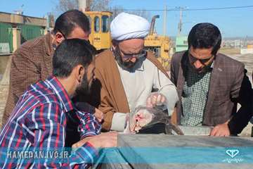 توقیف ماشین حمل کوسه ماهی و ضبط و معدوم سازی محموله