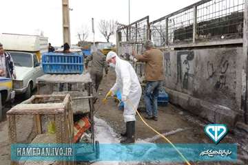 سم پاشی و ضد عفونی بازار پرندگان شهرستان همدان و توزیع بروشور های بیماری آنفلوانزا