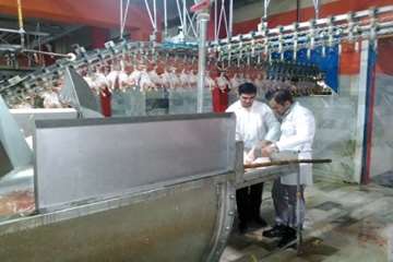 بازدید شبانه از کشتارگاه طیور