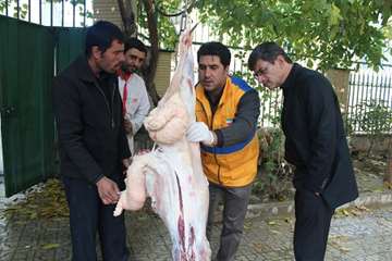 نظارت بهداشتی تاسوعا و عاشورا 93