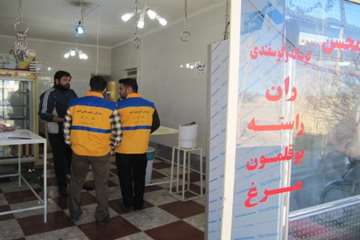 بازدید از مراکز عرضه مواد خام دامی شهرستان رزن
