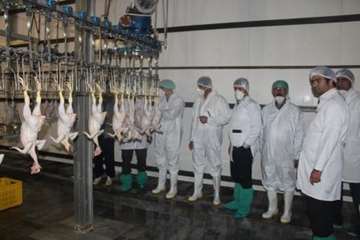 بازدید کارشناسان سازمان دامپزشکی کشور از کشتارگاه طیور در استان همدان