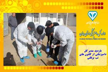 بازدید مدیر کل دامپزشکی از کانون های تب برفکی
