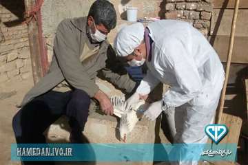 مراقبت فعال آنفلوانزا