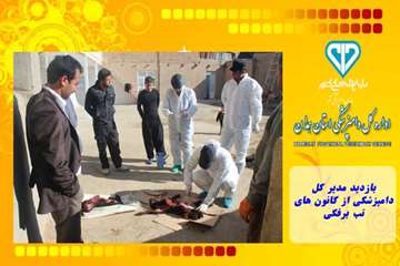 بازدید مدیر کل دامپزشکی از کانون های تب برفکی