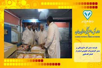 بازدید مدیر کل دامپزشکی و مدیر کل تعزیرات حکومتی استان از کشتار گاه طیور