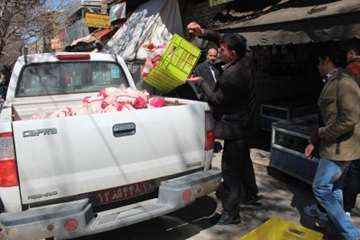 طرح تشدید کنترل و نظارت ویژه ایام نوروز