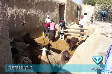 خدمت رسانی به روستای محروم در هفته دامپزشکی