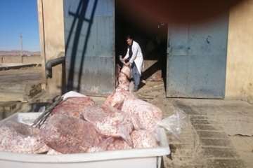 معدوم سازی پای مرغ غیر قابل مصرف توسط بازرسان دامپزشکی شهرستان بهار