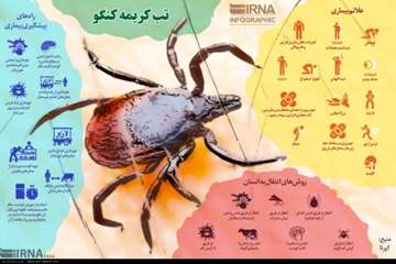 تب کریمه کنگو 