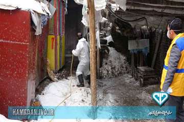 سم پاشی و ضد عفونی بازار پرندگان شهرستان همدان و توزیع بروشور های بیماری آنفلوانزا